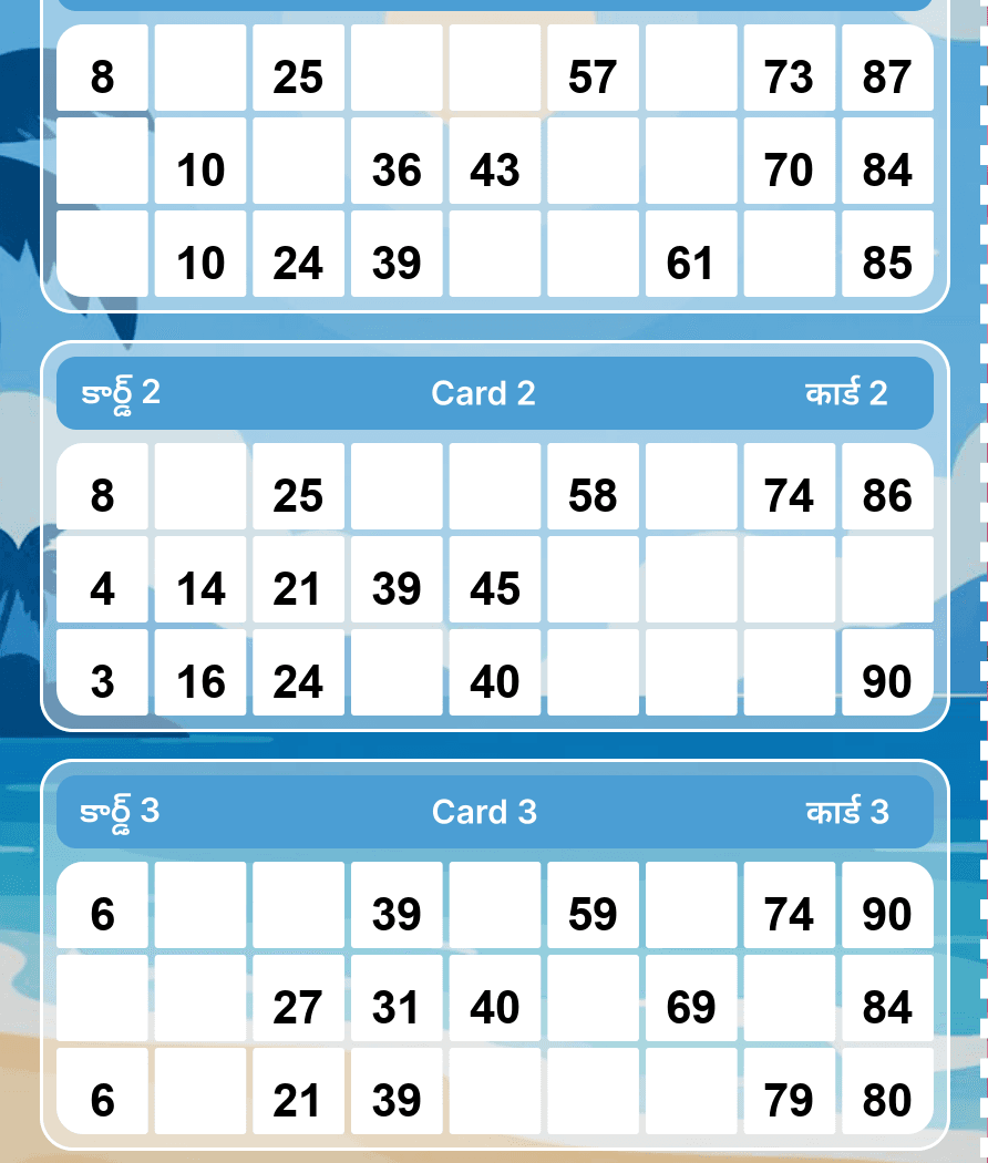 Tambola Ticket