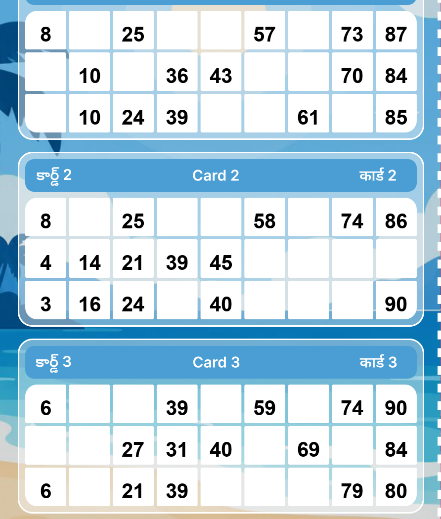 Tambola Ticket